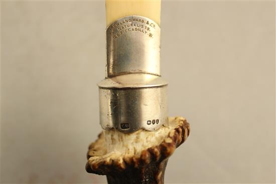 A Victorian ivory and horn handled silver mounted paper knife, retailed by Rowland Ward & Co, 166 Piccadilly, 18in.